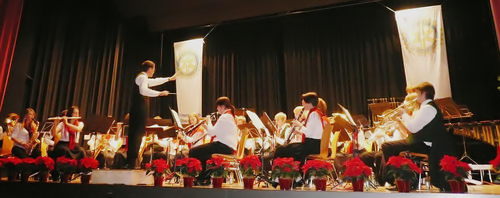 Das 45-köpfige symphonische Blasorchester Sulzbach erfüllte unter Winfried Rehse höchste Anforderungen. Foto: Wolfgang Tulaszewski 