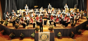Eine Spitzenleistung zeigte der Musikverein Edelweiß Sulzbach beim Konzert Foto: privat